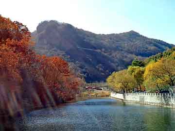 新澳天天开奖资料大全旅游团，芳烃报价